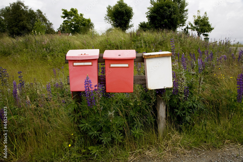 Brunflobladet i din brevlåda
